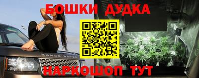 стафф Пенза