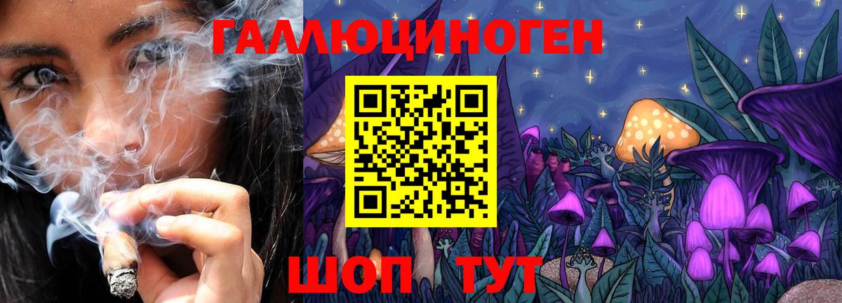 Галлюциногенные грибы Psilocybe Новосибирск