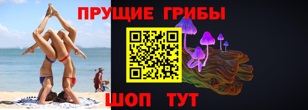 Галлюциногенные грибы прущие грибы  закладка  Новосибирск  Вход с VPN 